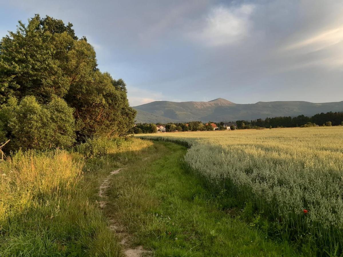 Willa Kolorowa Chata 6 Km Od Karpacza Mysłakowice Eksteriør billede